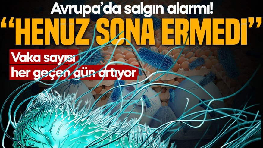 Avrupa’da Salmonella alarmı! Vaka sayısı artıyor: “Henüz sona ermedi”