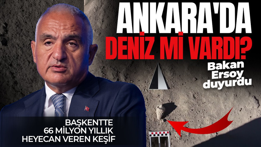 "Ankara'da deniz mi vardı?" sorusu gerçek oldu: Başkentte 66 milyon yıllık heyecan veren keşif! Bakan Ersoy duyurdu