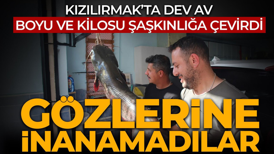 Kızılırmak’ta dev av: Gözlerine inanamadılar!