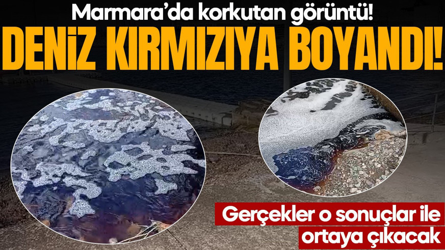 Marmara'da korkutan görüntü! Deniz kırmızıya boyandı