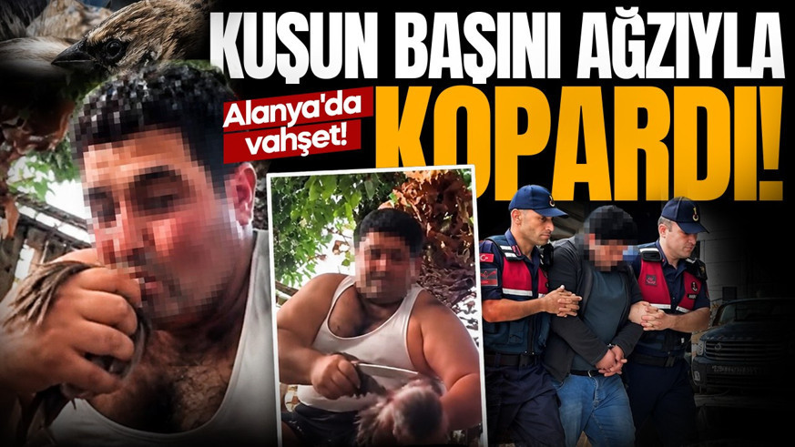 Alanya'da vahşet: Kuşun başını ağzıyla kopardı! O cani hakkında karar
