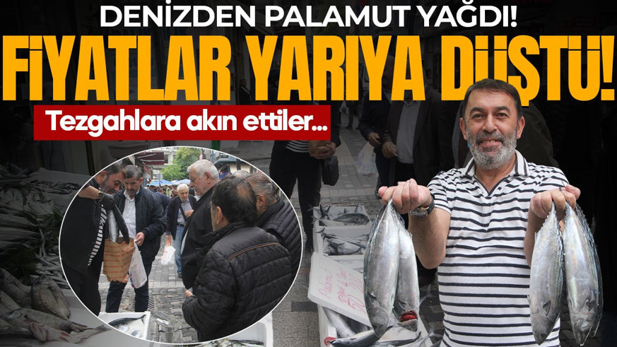 Denizden palamut yağdı! Fiyatlar yarıya düştü: Tezgahlara akın ettiler