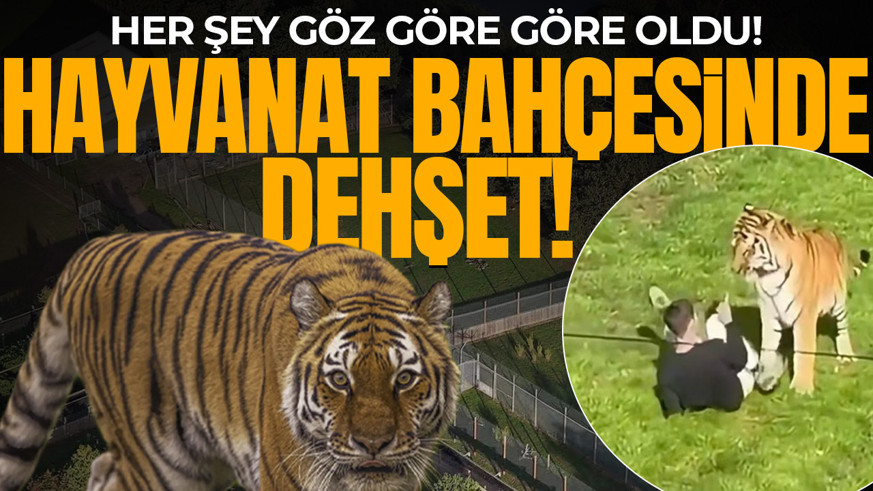 Her şey göz göre göre oldu! Hayvanat bahçesinde dehşet: Cesareti sonunu getirdi!