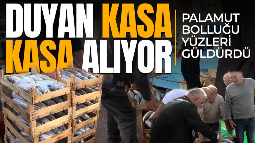 Palamut bolluğu yüzleri güldürdü! Duyan kasa kasa alıyor: 600 TL