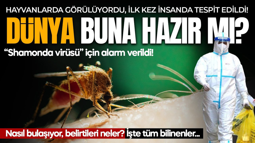 Hayvanlarda görülüyordu, ilk kez insanda tespit edildi! Shamonda virüsü hakkında ne biliniyor?