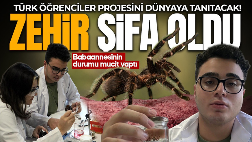 Babaannesine çare ararken büyük bir başarıya imza attı! Türk öğrenciler tarantula zehrinden geliştirdi, şimdi dünyaya tanıtacaklar